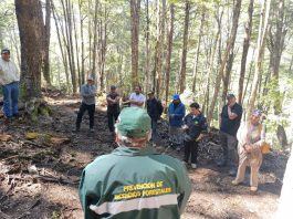 Jornada “Día del Bosque” en el sector El Picaflor de Mañihuales