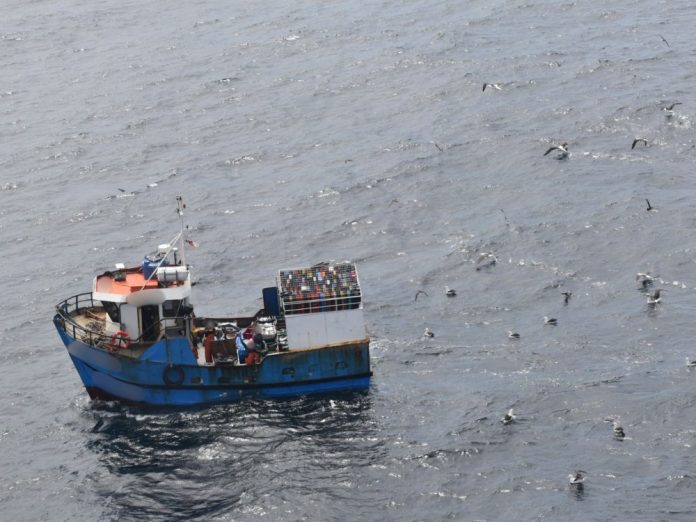 Foto - 2025-11-14T084659.282