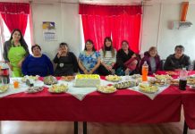 En Puerto Chacabuco: Club Deportivo y Club de Adultos Mayores se adjudican FFOIP para fortalecer el tejido social y el cuidado medioambiental