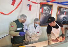 Seremi de Salud Aysén “Durante Fiestas Patrias no se registraron personas con enfermedades transmitidas por los alimentos”