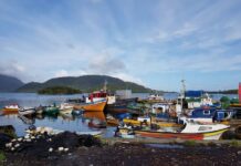 INDESPA abre convocatoria nacional de $500 millones para apoyar el cumplimiento normativo de las áreas de manejo de la pesca artesanal del país
